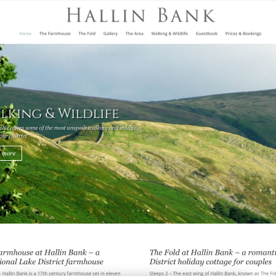 Hallin Bank homepage preview